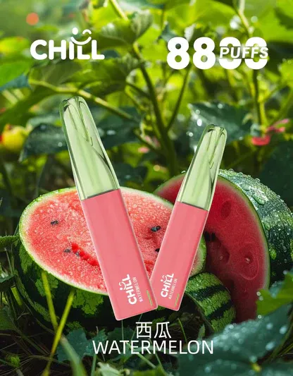 001-01.webp 【鴨嘴獸CHILL】8800口潮流拋棄式小煙|濃郁順喉玩家首選|台灣現貨 7-11貨到