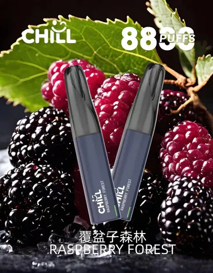 001-13.webp 【鴨嘴獸CHILL】8800口潮流拋棄式小煙|濃郁順喉玩家首選|台灣現貨 7-11貨到