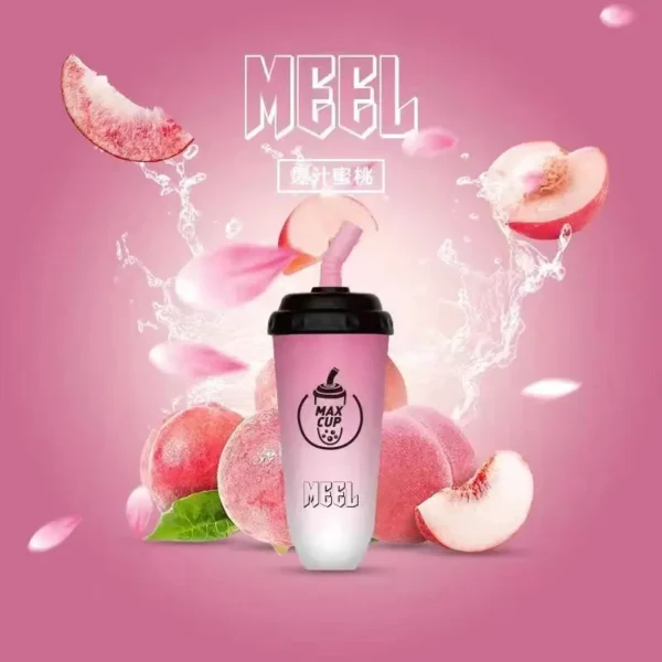【MEEL奶茶杯】6000口拋棄式小煙｜15ml澎湃巨量Type-C快充｜台灣現貨秒發