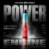 ChatGPT-Image-2026年6月18日-上午02_51_17.webp 【Vapor Storm】5000口一次性小煙|10ml大容量Mesh網芯|台灣現貨秒發
