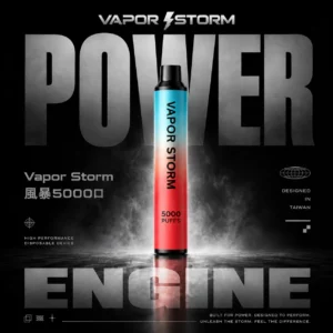 【Vapor Storm】5000口一次性小煙｜10ml大容量Mesh網芯｜台灣現貨秒發