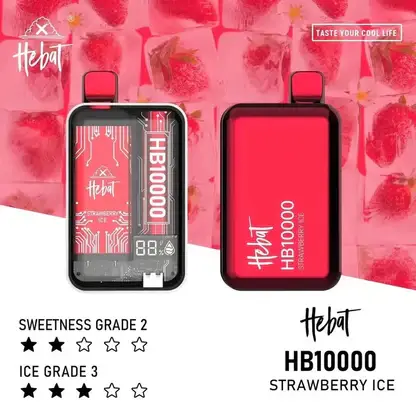 【Hebat 喜貝】10000口｜極致濃郁快充拋棄式小煙｜全台現貨 秒發