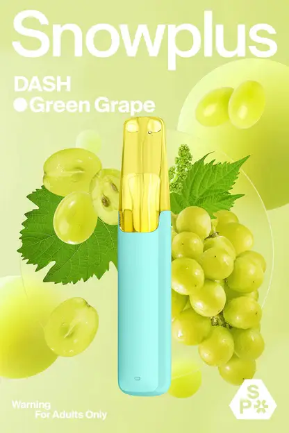 【Snowplus DASH】鴨嘴獸4000口拋棄式｜人體工學吸嘴獨家持味｜台灣現貨秒發