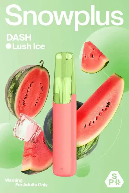 【Snowplus DASH】鴨嘴獸4000口拋棄式｜人體工學吸嘴獨家持味｜台灣現貨秒發
