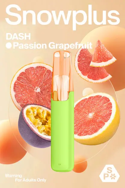 【Snowplus DASH】鴨嘴獸4000口拋棄式｜人體工學吸嘴獨家持味｜台灣現貨秒發