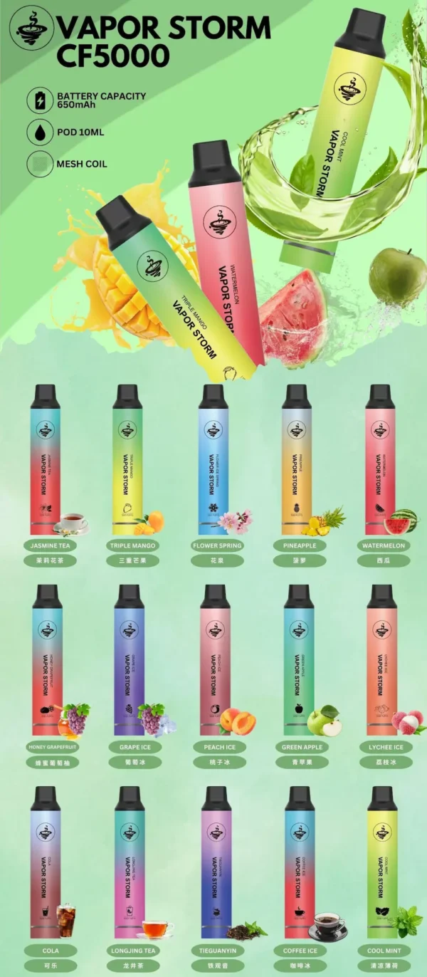 WP風暴.webp 【Vapor Storm】5000口一次性小煙|10ml大容量Mesh網芯|台灣現貨秒發