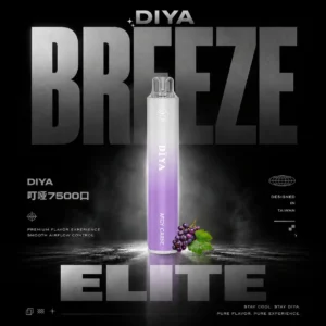 微信图片_20260615162509_931_13.webp 【DIYA叮啞】7500口|10ml大容量不漏油|台灣現貨秒發免等