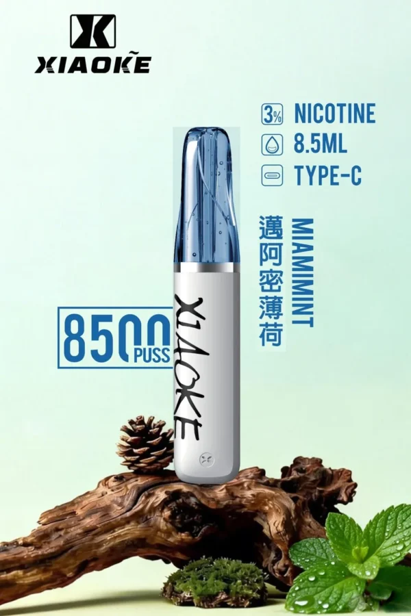 27763104a941bdf31156bc0c11499293-1024x1536.jpg 【XIAOKE 梟客】8500口拋棄式電子煙|8.5ml儲油量 × Type-C充電設計|台灣現貨秒發